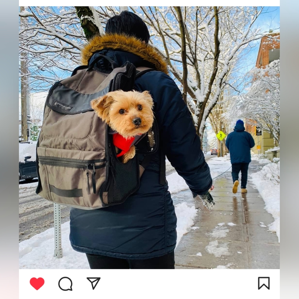 Dog carrier backpack